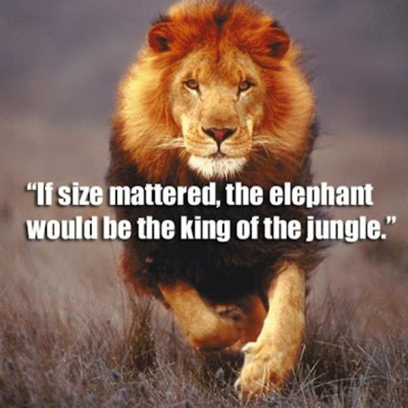 Meet your Posher, Mohammed - Picture 1 of 1